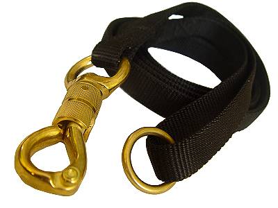 locking leash