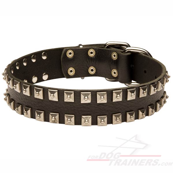 Everyday Leather Dog Collar for Multiple Outings