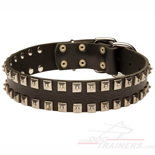 Noble Walking Leather Cane Corso Collar