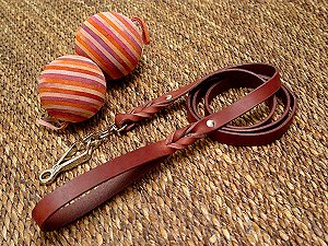 Premium Leather Dog Leash with Quick Release Snap Hook
