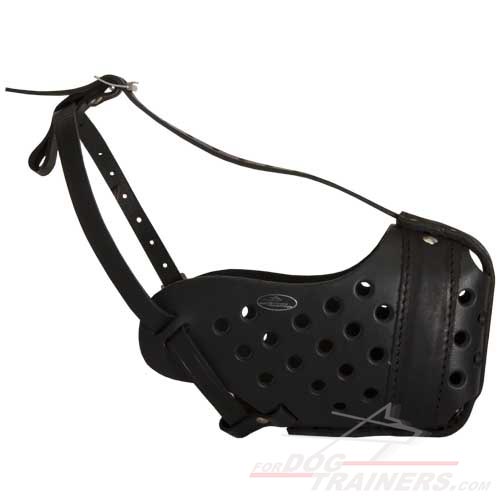 Leather dog muzzle - dog training muzzle