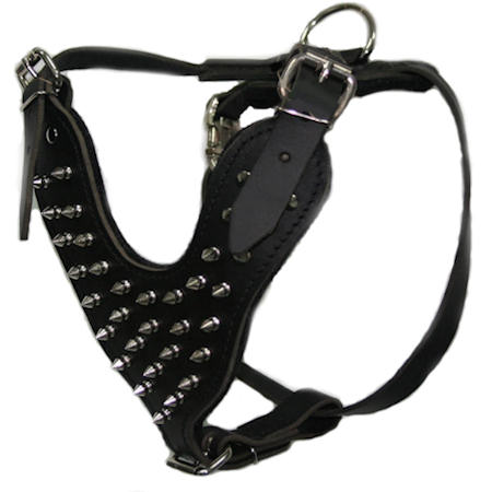 spiked dog harness for cane corso mastiff