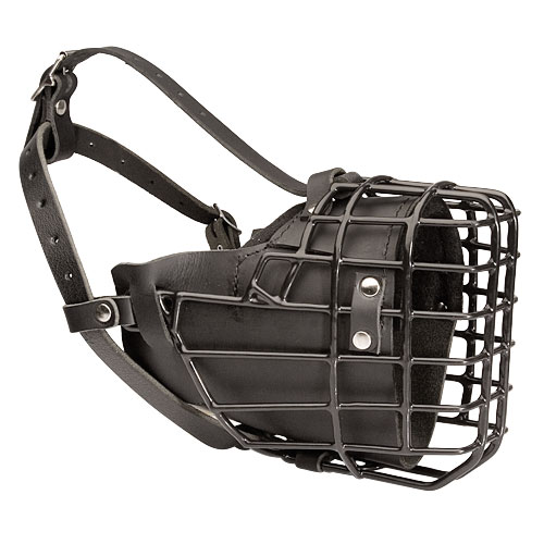 agitation dog wire muzzle