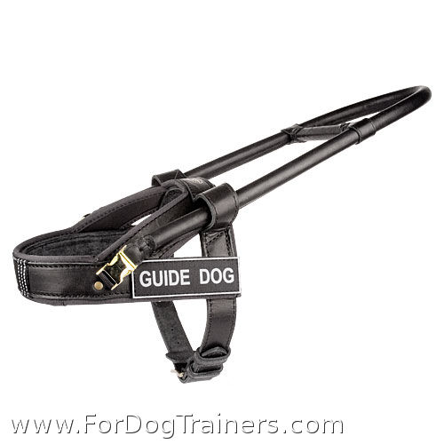 guide dog harness