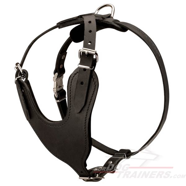 Reliable Leather Dog Harness with Padded Chest Plate