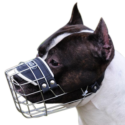 One Strap Amstaff Muzzle