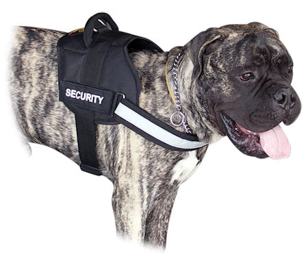 Reflective NYLON DOG HARNESS All Weather Harness for Bullmastiff