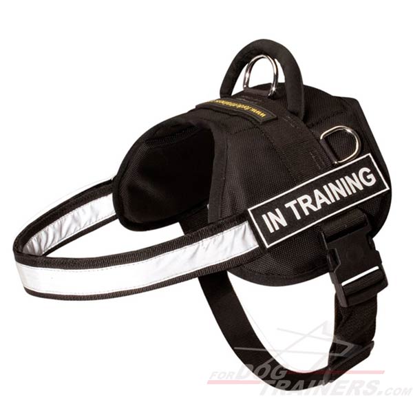 Water-resistant Nylon Dog Harness