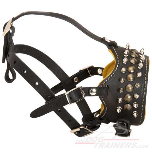 Padded leather dog muzzle with spikes for all breeds M61
