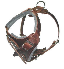 leather dog harness for Akita Inu or Siberian Husky