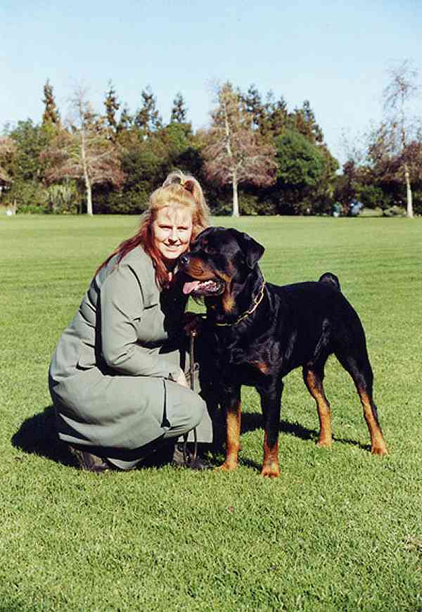 rottweiler with gold chain