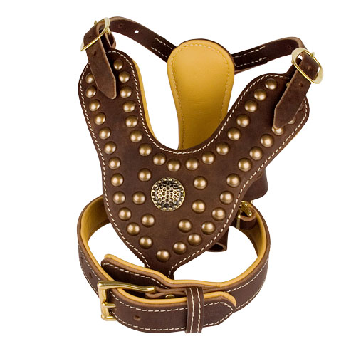 Designer Leather Dog Harness and Collar Set for Canine Walking and Training
