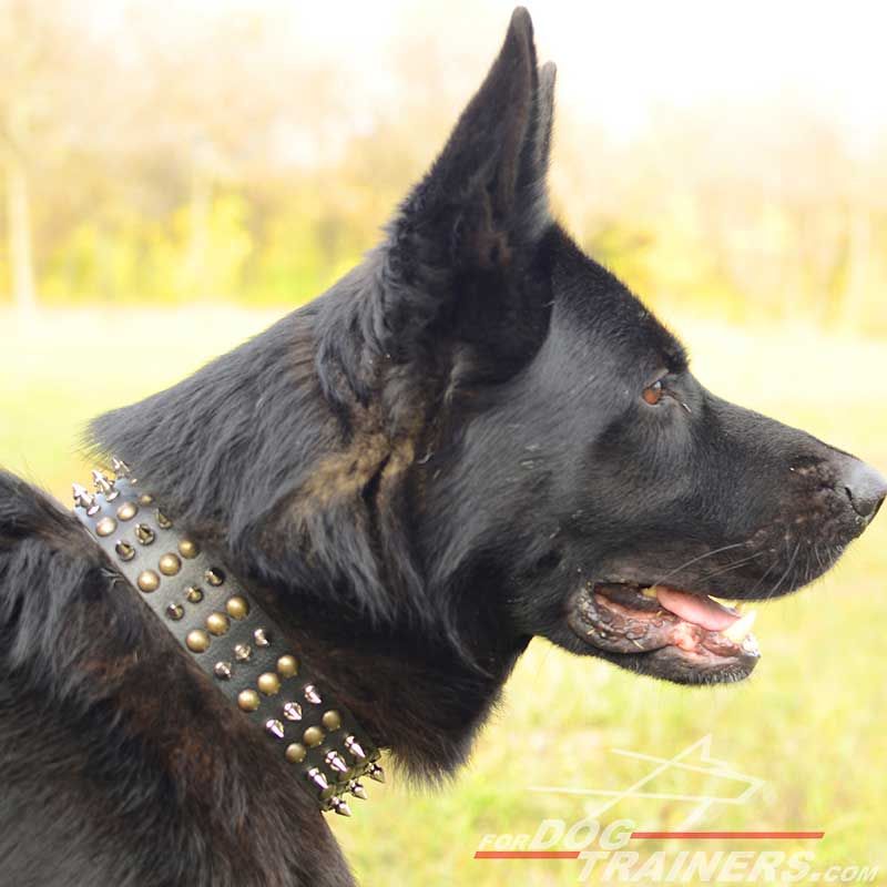 Classic Leather Cool Spiked Studded Adjustable Pet Collars For Large Dogs