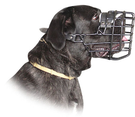 Bullmastiff Wire Dog MUZZLE for winter with rubber cover