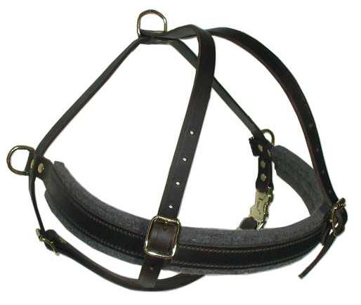 No pull dog harness for Akita Inu or Siberian Husky