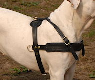 Strong Dog Harness for Attack Training and Daily Walking