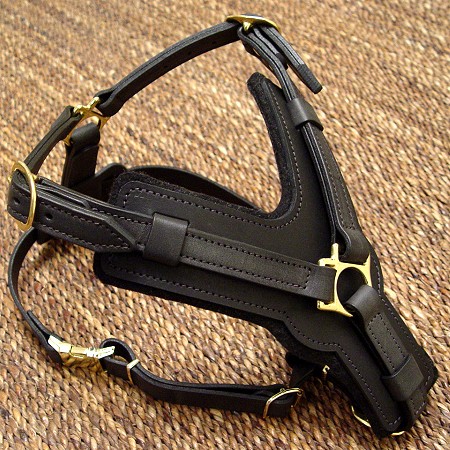 Agitation Leather Dog Harness Padded