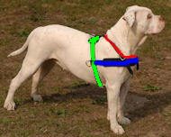 Strong Dog Harness for Attack Training and Daily Walking