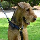 Strong Dog Harness for Attack Training and Daily Walking