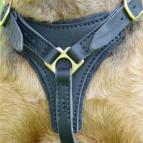 Professional Leather Dog Harness for Agitation Training and Comfortable for Walking