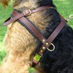 Agitation Leather Dog Harness Padded