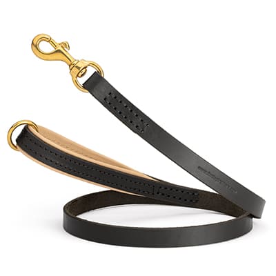 Leather Leash with handle