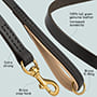 Super Comfortable Leather Dog Leash with Padded Handle
