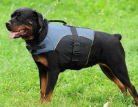 Wear-and-tear resistant Rottweiler Nylon Vest Harness perfect for all