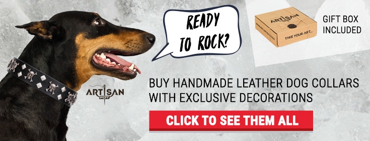 dog muzzle with teeth for sale