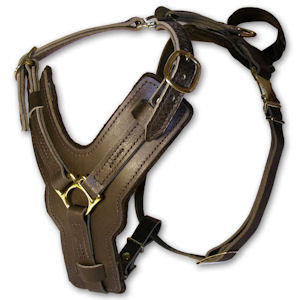 leather dog harness for belgian malinois