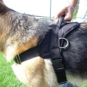 nylon dog harness with handle for k9 dog training
