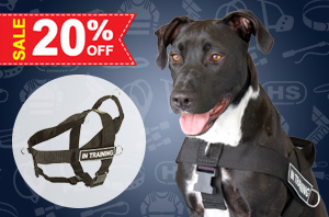 Nylon Dog Harness