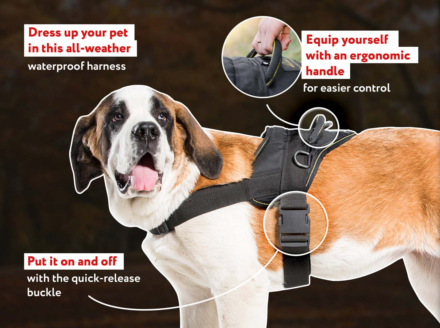 Lightweight Pitbull  Nylon Harness for Any Weather Activity