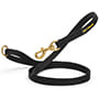 Best for Rainy Weather Nylon Dog Leash