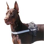 Doberman All Weather Reflective harness H6plus