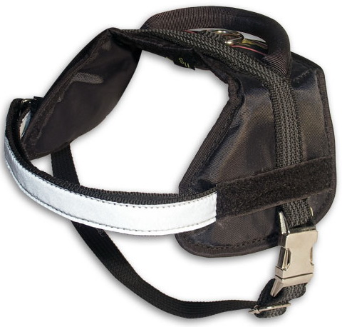 leather dog harness