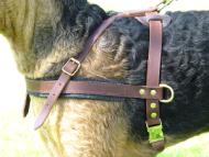 Tracking / Pulling / Agitation Leather Dog Harness For Airedale Terrier H5