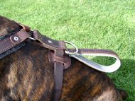 Leather dog harnesses