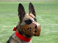 Leather dog muzzle perfect for Malinois M31