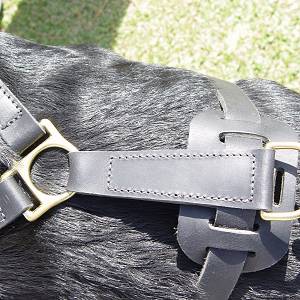 Exclusive Luxury Handcrafted Padded Leather Dog Harness Perfect  for your Rottweiler H10_1