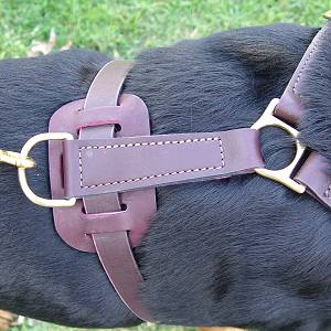 Exclusive Luxury Handcrafted Padded Leather Dog Harness Perfect  for your Rottweiler H10_1