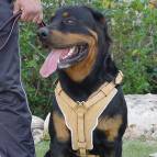 Exclusive Luxury Handcrafted Padded Leather Dog Harness Perfect  for your Rottweiler H10