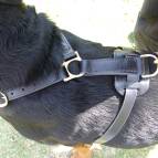 Luxury handcrafted leather dog harness made To Fit Rottweiler  H7