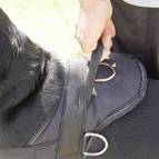 Handle of nylon dog harness
