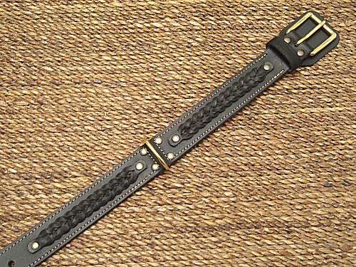 Nice dog in Gorgeous Wide 2 Ply Leather Dog Collar