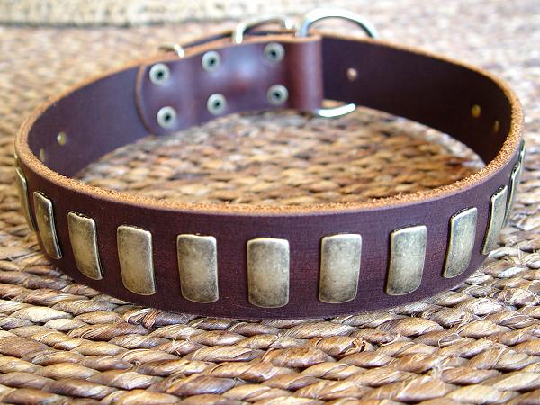 leather dog collar