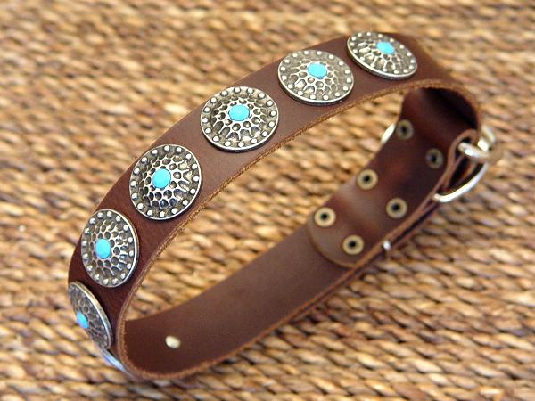 Wide  Leather Pitbull  Collar with Conchos and  Blue Stones for Walking