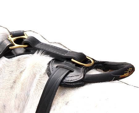 Exclusive Luxury Handcrafted Padded Leather Dog Harness Perfect  for your American Bulldog