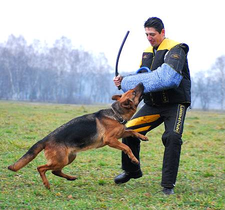 Jeffrey looking Good in our Protection scratch suit for dog training - PBS4suit